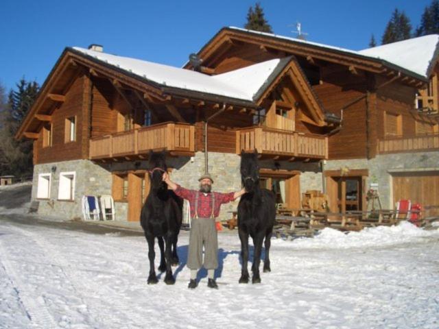 Agriturismo Chalet Caribona Βίλα Valdisotto Εξωτερικό φωτογραφία
